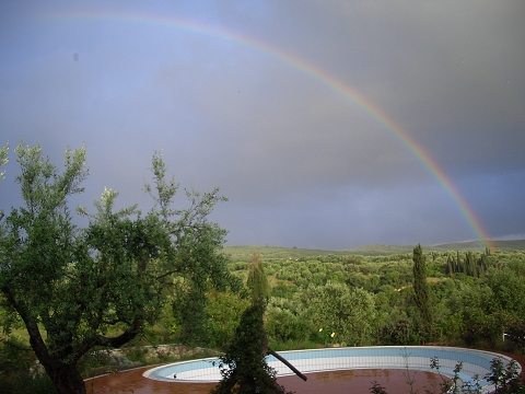 40 rainbow of fortune over the pool